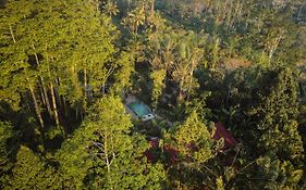 Daydream Lodge